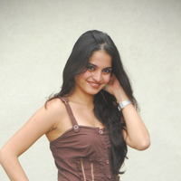 Actress Sheena Shahabadi latest Photos | Picture 46636